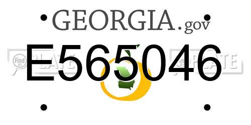 E565046 Georgia License Plate