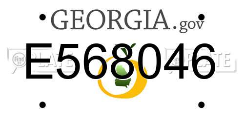 E568046 Georgia License Plate