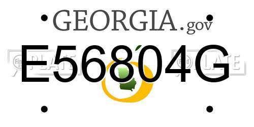 E56804G Georgia License Plate