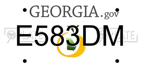 E583DM Georgia License Plate