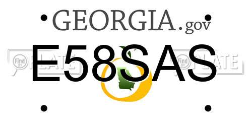 E58SAS Georgia License Plate