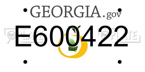E600422 Georgia License Plate
