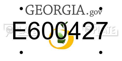 E600427 Georgia License Plate