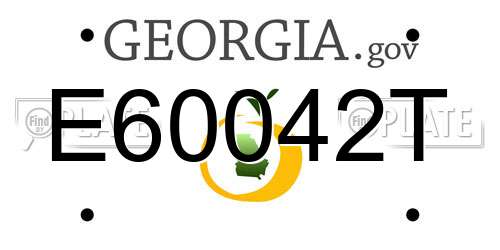 E60042T Georgia License Plate