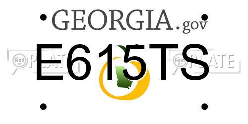 E615TS Georgia License Plate
