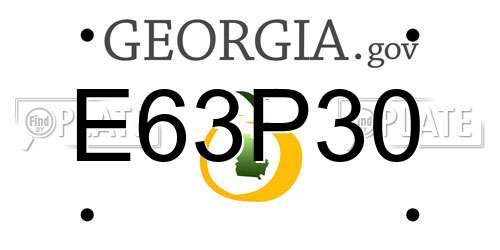 E63P30 Georgia License Plate