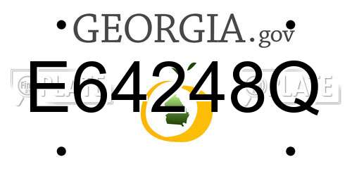 E64248Q Georgia License Plate