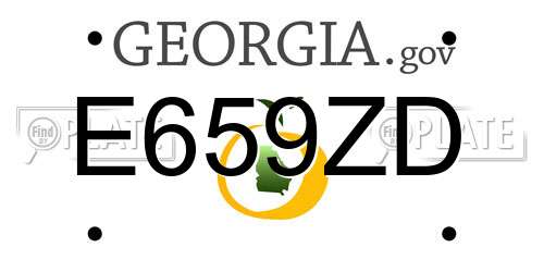 E659ZD Georgia License Plate