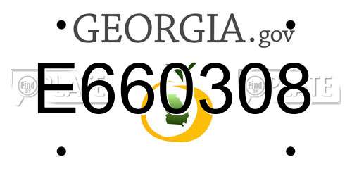 E660308 Georgia License Plate