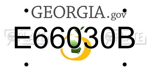 E66030B Georgia License Plate