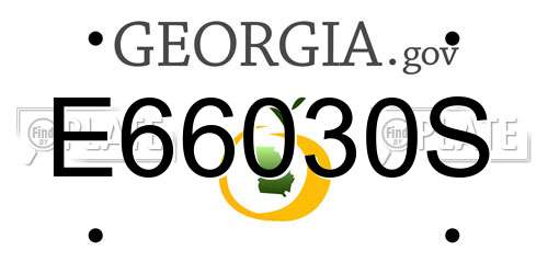 E66030S Georgia License Plate