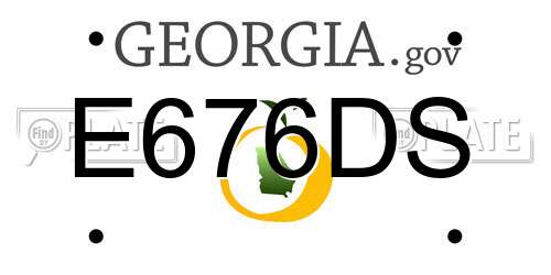 E676DS Georgia License Plate