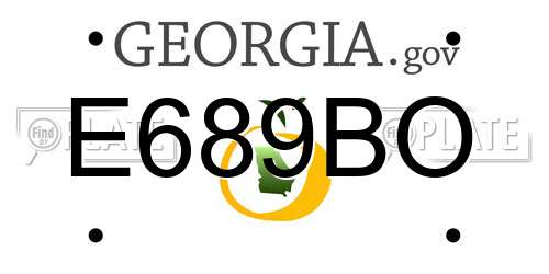E689BO Georgia License Plate