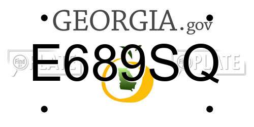 E689SQ Georgia License Plate