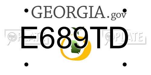 E689TD Georgia License Plate