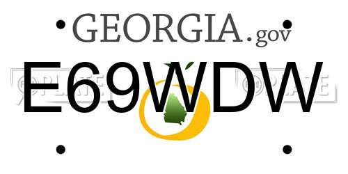 E69WDW Georgia License Plate