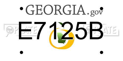 E7125B Georgia License Plate