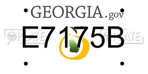 E7175B Georgia License Plate