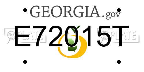 E72015T Georgia License Plate