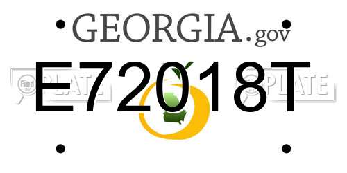 E72018T Georgia License Plate