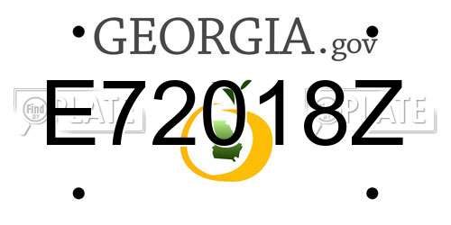 E72018Z Georgia License Plate