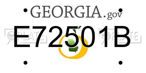 E72501B Georgia License Plate