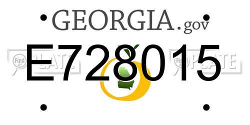E728015 Georgia License Plate
