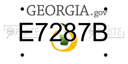 E7287B Georgia License Plate