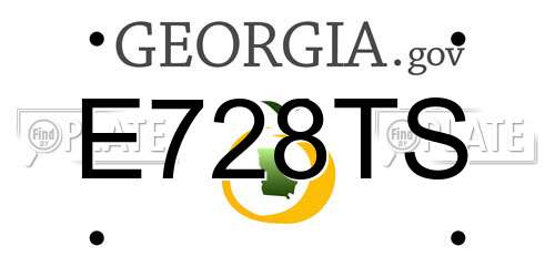 E728TS Georgia License Plate