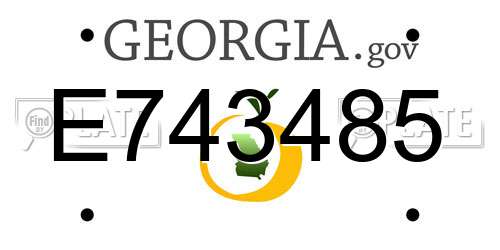 E743485 Georgia License Plate
