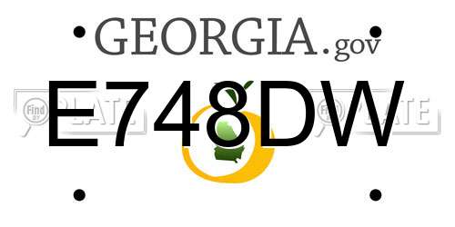 E748DW Georgia License Plate