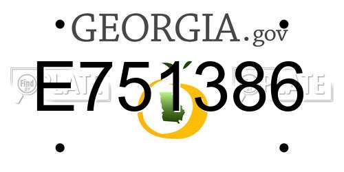 E751386 Georgia License Plate