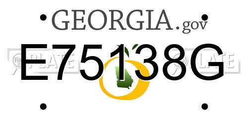 E75138G Georgia License Plate