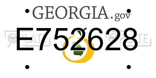 E752628 Georgia License Plate