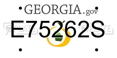 E75262S Georgia License Plate