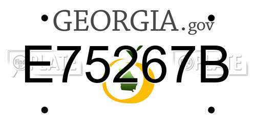 E75267B Georgia License Plate