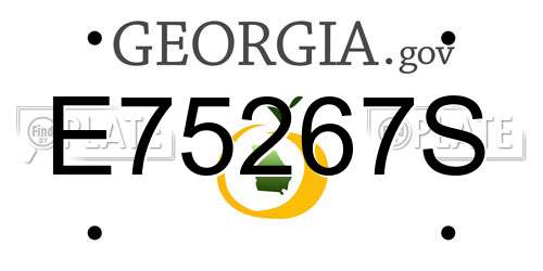 E75267S Georgia License Plate