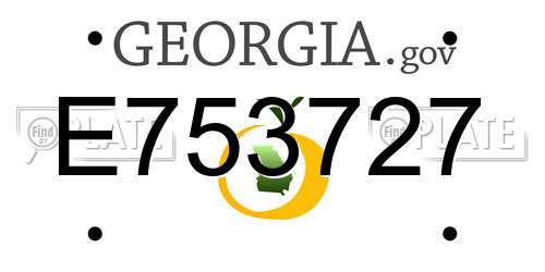 E753727 Georgia License Plate
