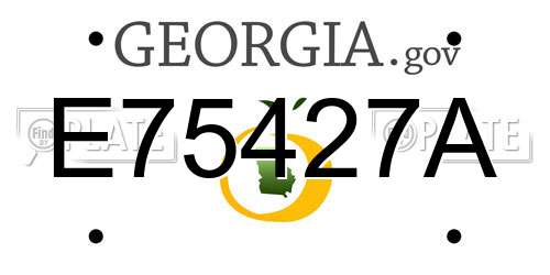 E75427A Georgia License Plate