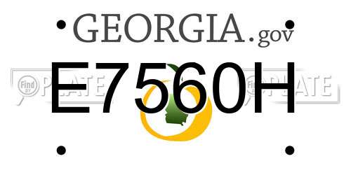 E7560H Georgia License Plate