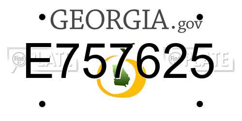 E757625 Georgia License Plate