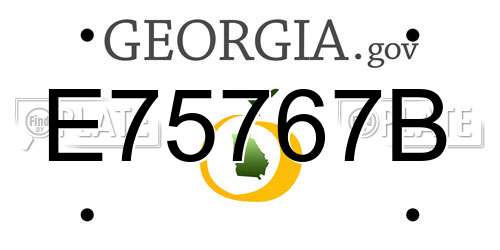 E75767B Georgia License Plate