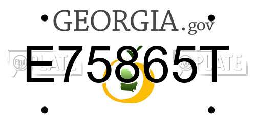 E75865T Georgia License Plate