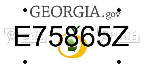 E75865Z Georgia License Plate
