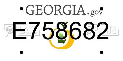 E758682 Georgia License Plate