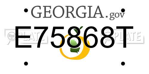 E75868T Georgia License Plate