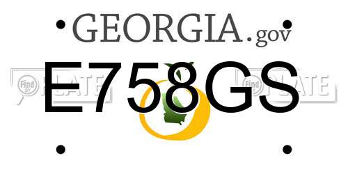E758GS Georgia License Plate