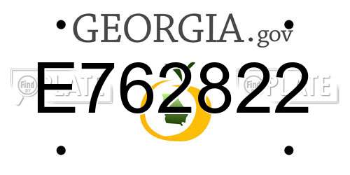 E762822 Georgia License Plate