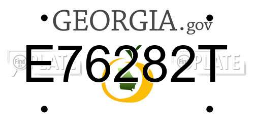 E76282T Georgia License Plate