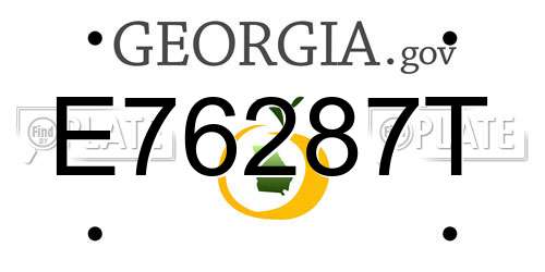 E76287T Georgia License Plate